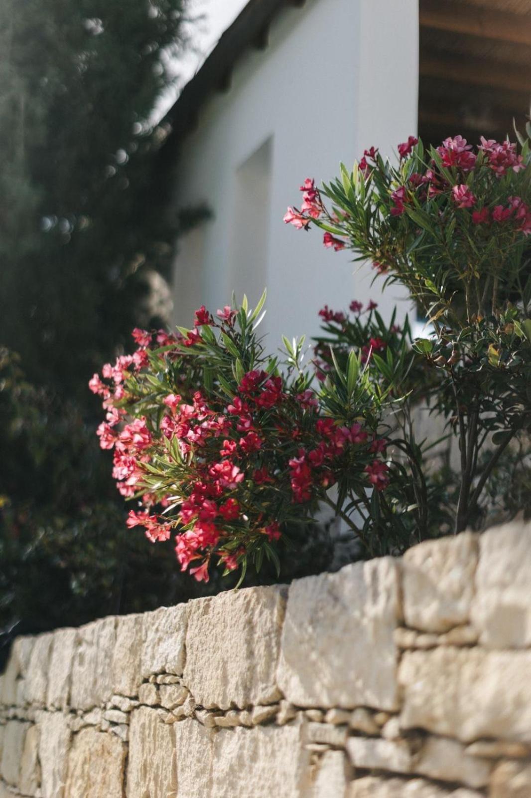 Cecilias Courtyard Vendégház Maliá Kültér fotó